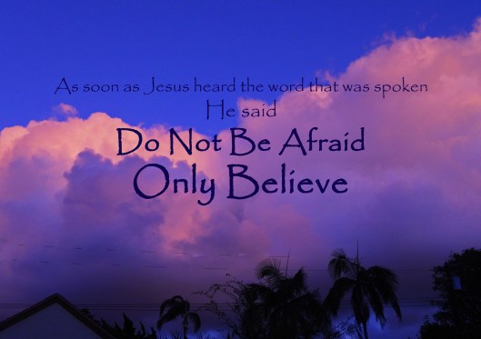 11012013 009_edited-1 copy